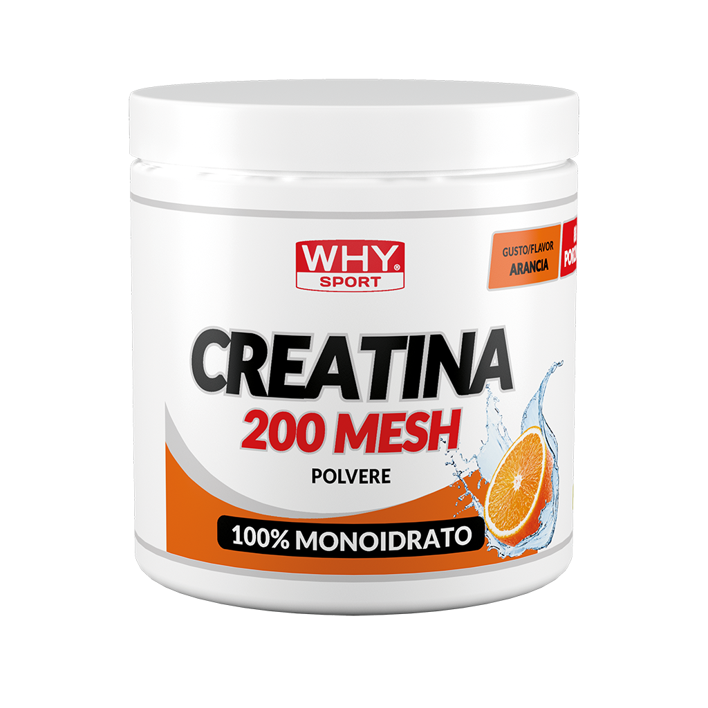 WHY SPORT Amminoacidi e creatina CREATINA 200 MESH AROMATIZZATA 300 g
