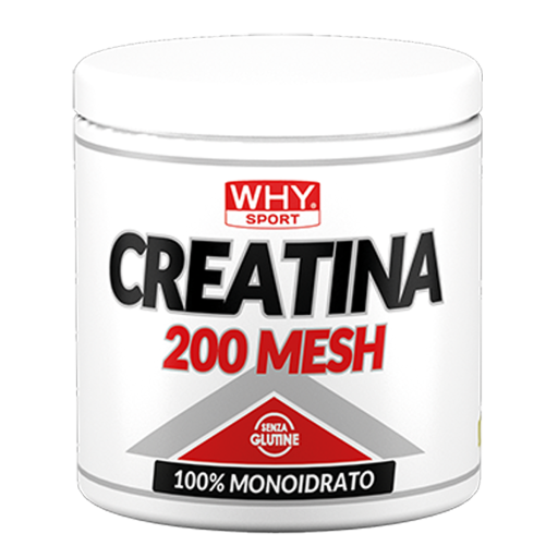 WHY SPORT Amminoacidi e creatina CREATINA 200 MESH creatina 200 g
