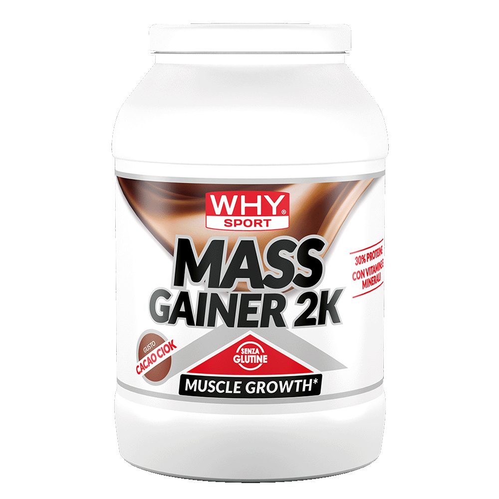 WHY SPORT Proteine MASS GAINER 2K 2 Kg gainer proteico