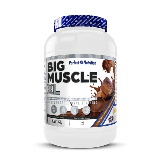 NEWTRITIONS Workout Big Muscle XL gainer 1360 g con proteine e creatina