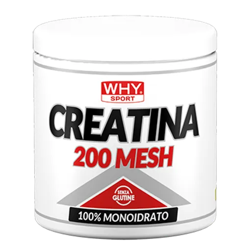 WHY SPORT Amminoacidi e creatina CREATINA 200 MESH creatina 200 g