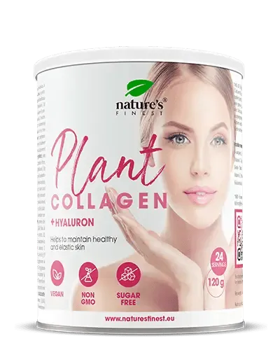 NEWTRITIONS Condizione Plant Collagen con Acido Ialuronico integratore 120 g vegano