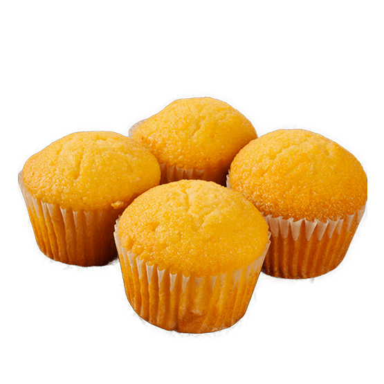 NEWTRITIONS Prima Colazione Plummy al limone snack 40 g