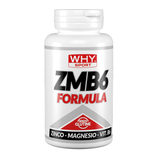 WHY SPORT Supplementi ZMB6 FORMULA 90 cpr integratore