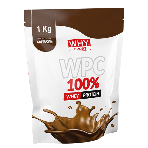 WHY SPORT Proteine WPC 100% proteine in polvere 1 kg