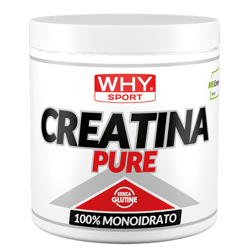WHY SPORT Amminoacidi e creatina CREATINA PURE creatina 300 g pura