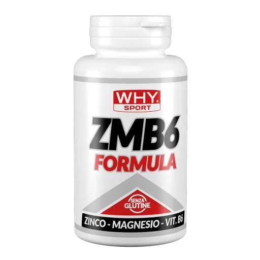 WHY SPORT Supplementi ZMB6 FORMULA 90 cpr integratore