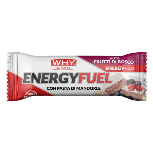 WHY SPORT Barrette energetiche ENERGY FUEL barretta energetica 30 g
