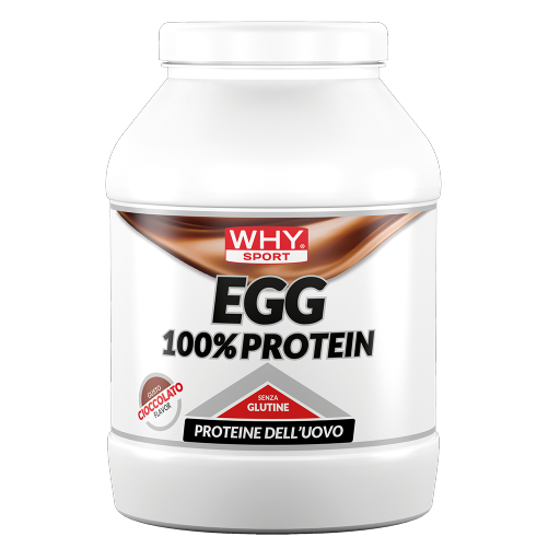 WHY SPORT Proteine EGG 100% PROTEIN CIOCCOLATO proteine 750 g gusto cioccolato