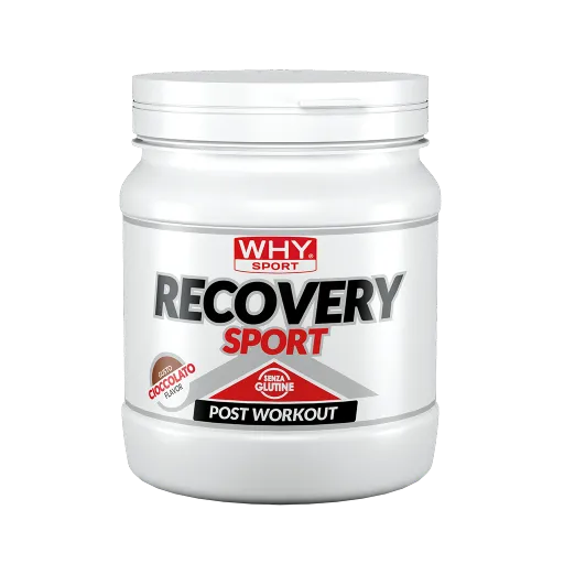 WHY SPORT Post workout Recovery Sport integratore cioccolato 400 g