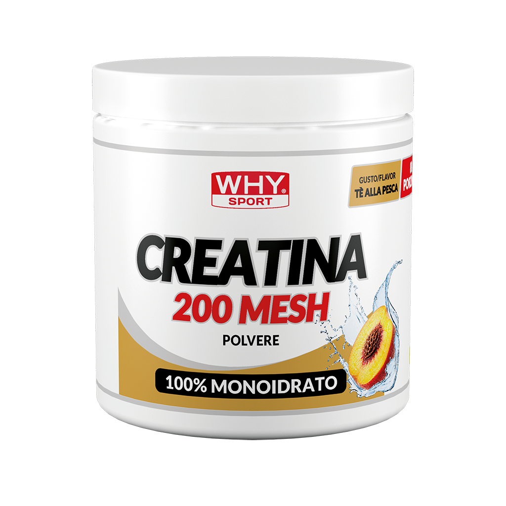 WHY SPORT Amminoacidi e creatina CREATINA 200 MESH AROMATIZZATA 300 g
