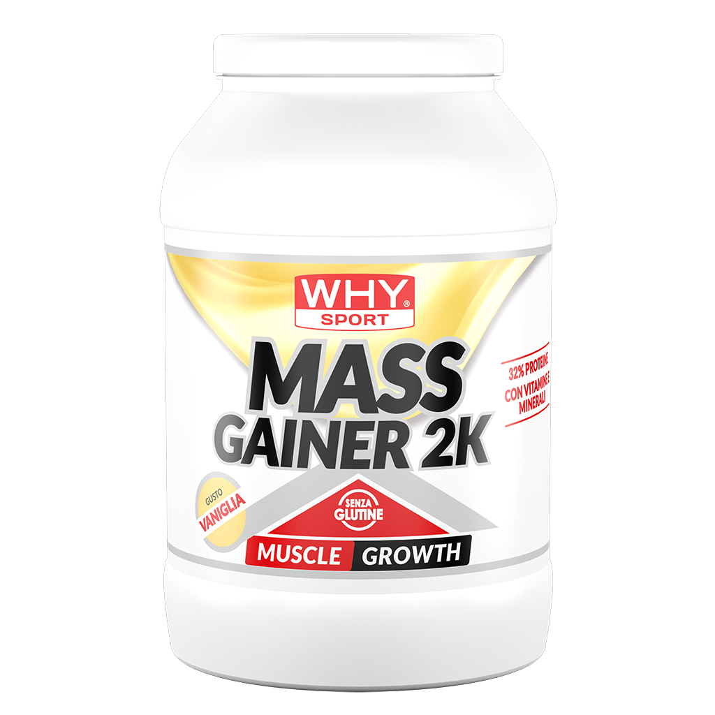 WHY SPORT Proteine MASS GAINER 2K 2 Kg gainer proteico