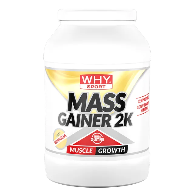 WHY SPORT Proteine MASS GAINER 2K 2 Kg gainer proteico