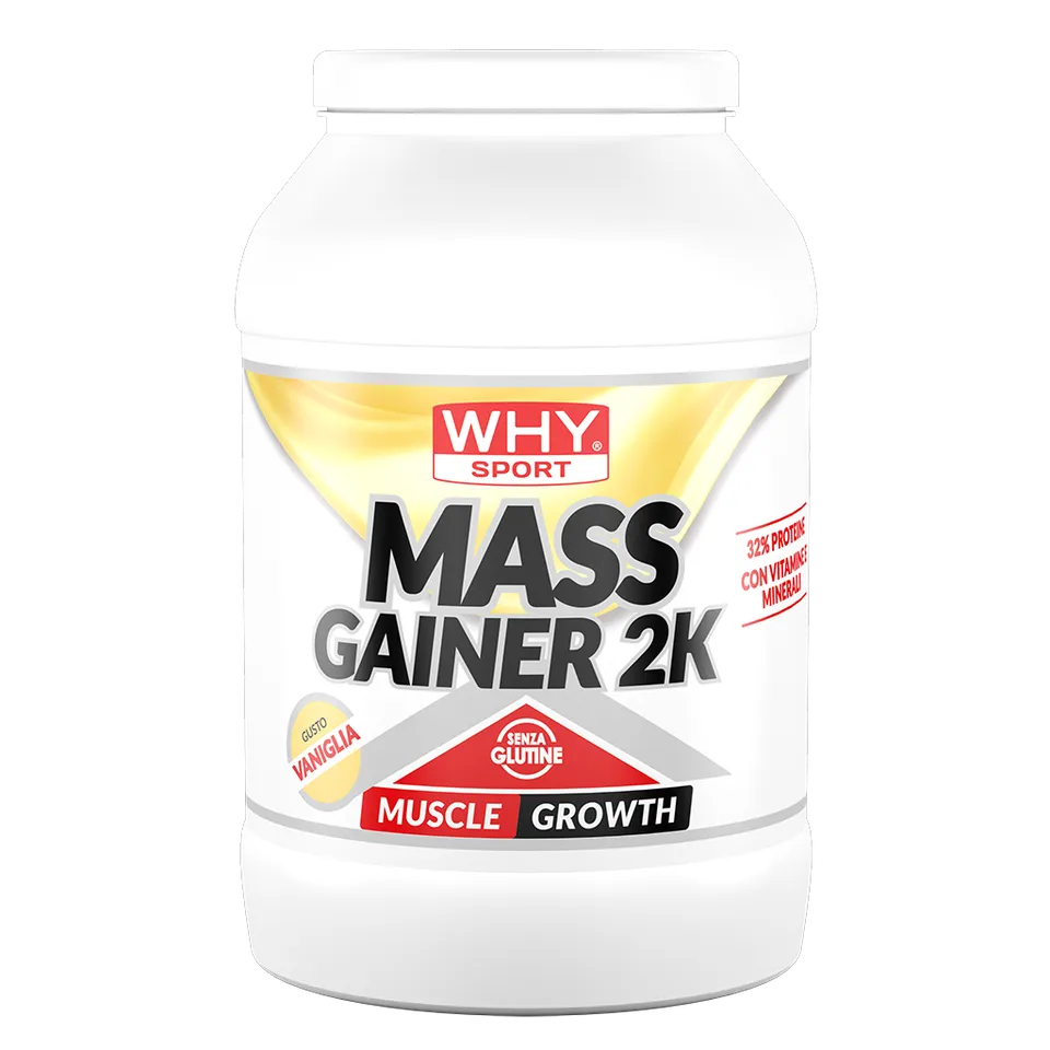 WHY SPORT Proteine MASS GAINER 2K 2 Kg gainer proteico