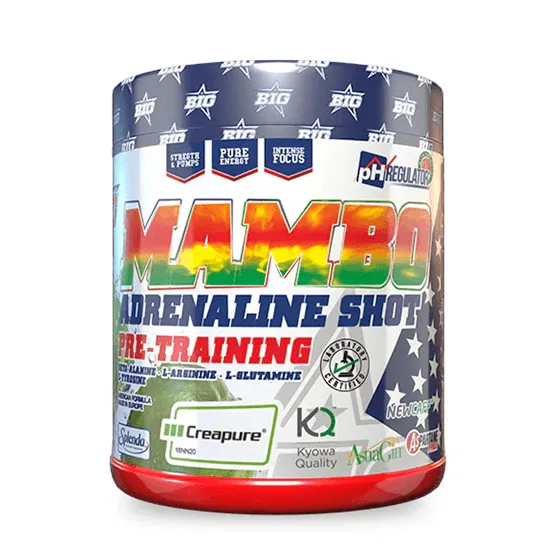 NEWTRITIONS Workout Mambo integratore 400 g