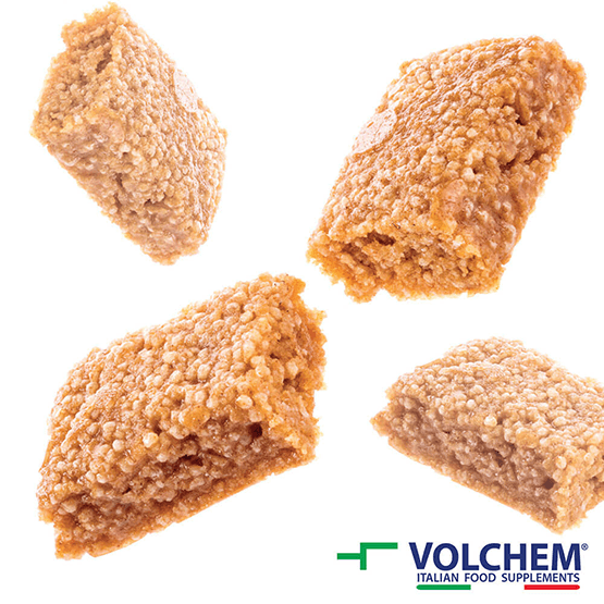 NEWTRITIONS Barrette Promeal Energy Crunch barretta 40 g
