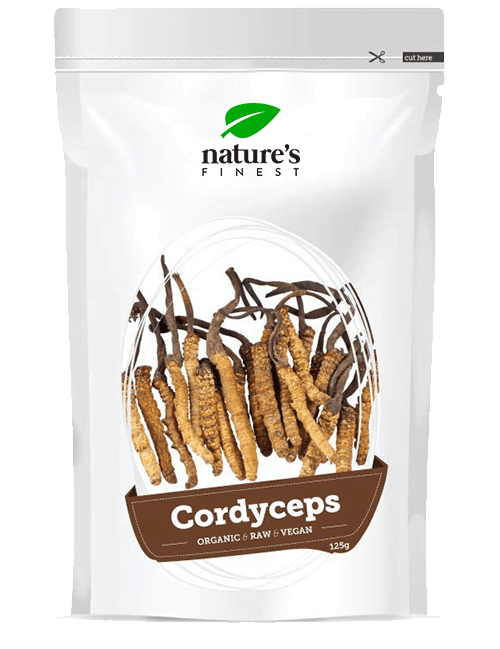 NEWTRITIONS Condizione Cordyceps in polvere Bio 125 g