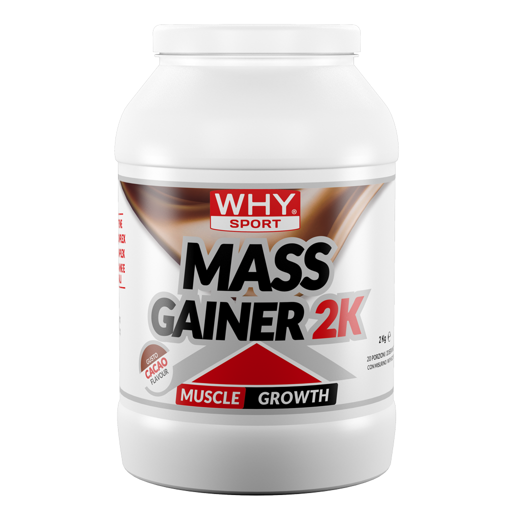 WHY SPORT Proteine MASS GAINER 2K 2 Kg gainer proteico