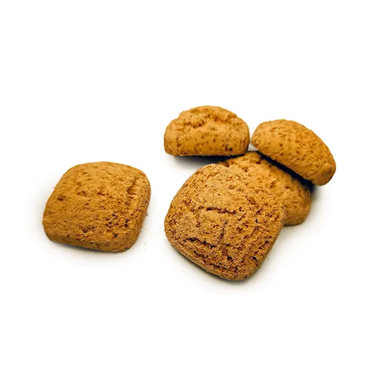 NEWTRITIONS Prima Colazione Frollì al cacao biscotto 40 g