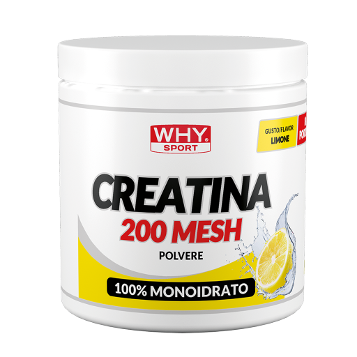WHY SPORT Amminoacidi e creatina CREATINA 200 MESH AROMATIZZATA 300 g