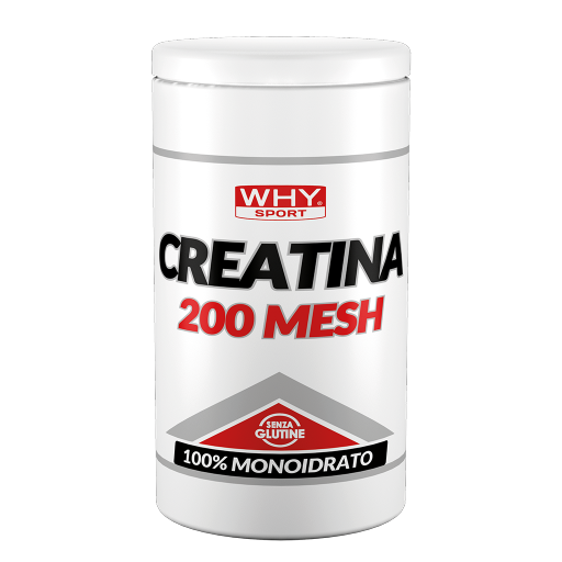 WHY SPORT Amminoacidi e creatina CREATINA 200 MESH creatina 200 g