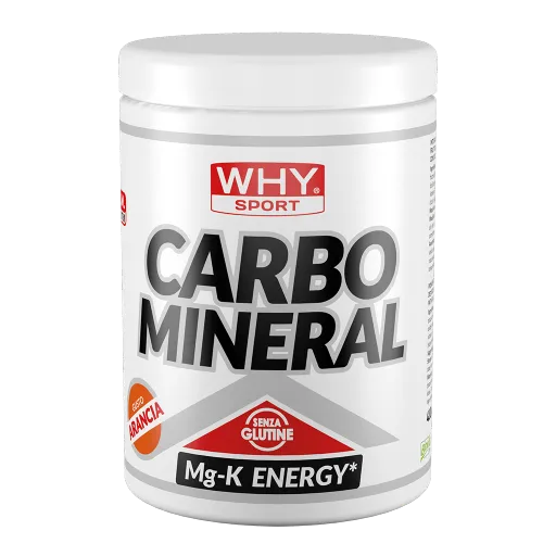 WHY SPORT Energetici CARBO MINERAL energetico arancia 400 g