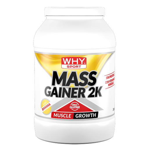 WHY SPORT Proteine MASS GAINER 2K 2 Kg gainer proteico