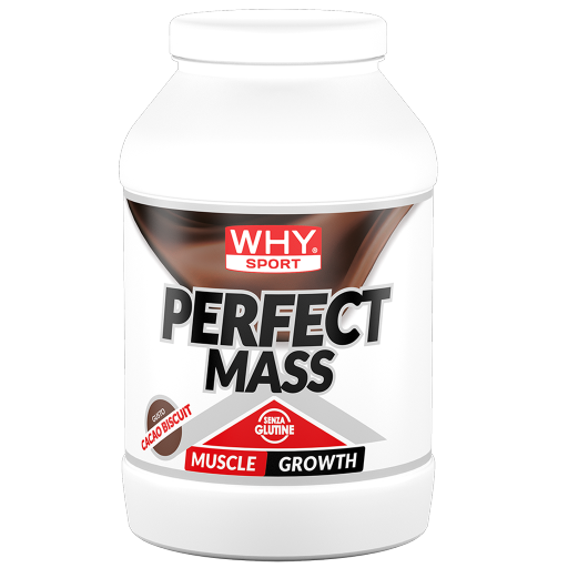 WHY SPORT Proteine PERFECT MASS 1,6 kg