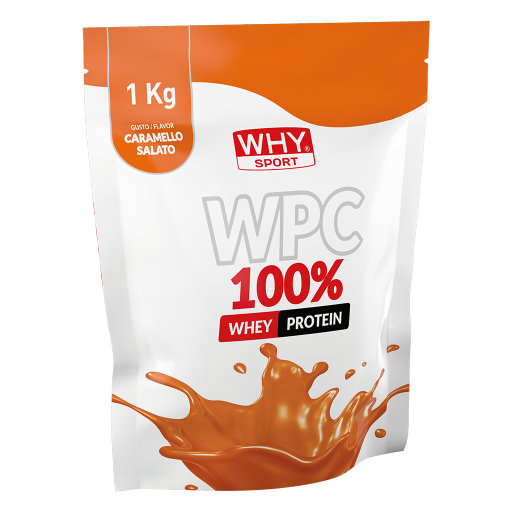 WHY SPORT Proteine WPC 100% proteine in polvere 1 kg