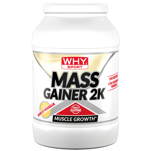 WHY SPORT Proteine MASS GAINER 2K 2 Kg gainer proteico