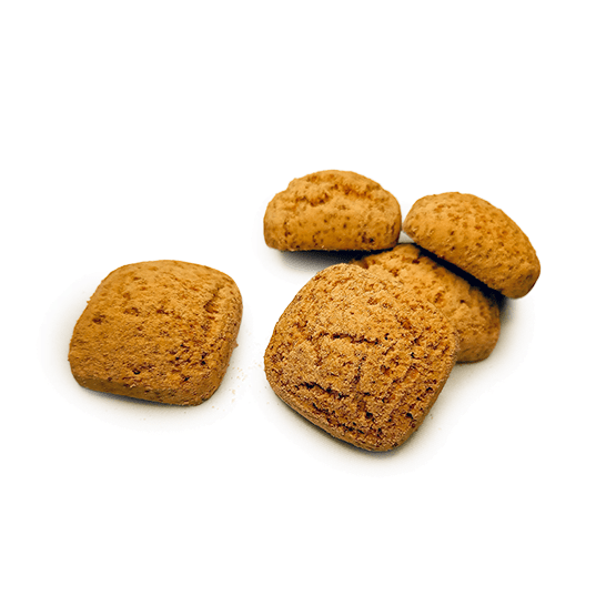 NEWTRITIONS Prima Colazione Frollì al cacao biscotto 40 g