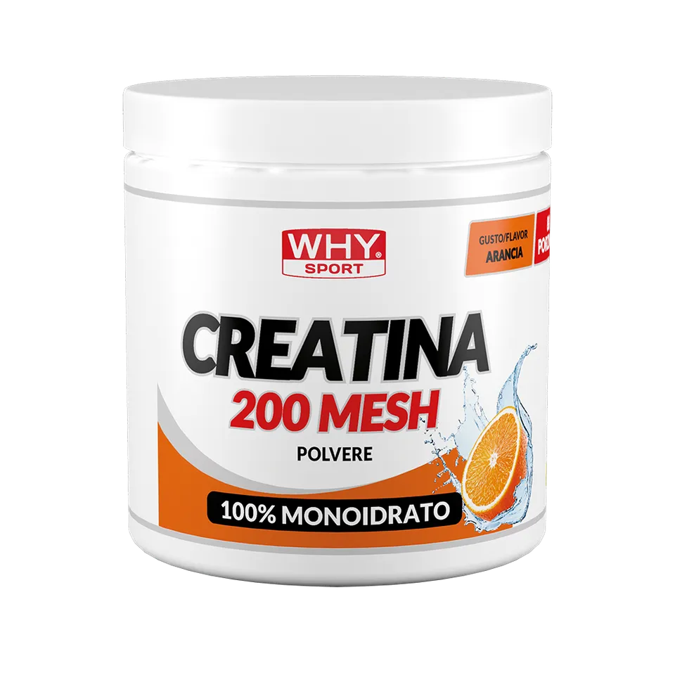 WHY SPORT Amminoacidi e creatina CREATINA 200 MESH AROMATIZZATA 300 g