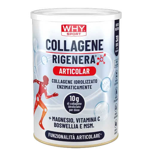 WHY SPORT Supplementi COLLAGENE RIGENERA® ARTICOLAR NEUTRO 336 g collagene