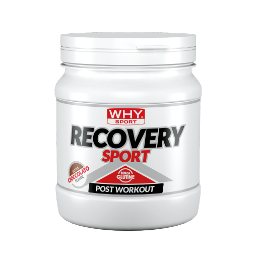 WHY SPORT Post workout Recovery Sport integratore cioccolato 400 g