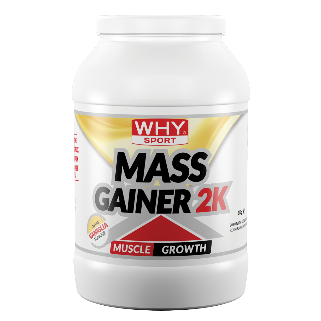 WHY SPORT Proteine MASS GAINER 2K 2 Kg gainer proteico