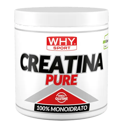 WHY SPORT Amminoacidi e creatina CREATINA PURE creatina 300 g pura