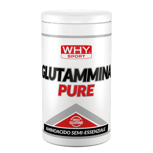 WHY SPORT Amminoacidi e creatina GLUTAMMINA PURE glutammina 500 g