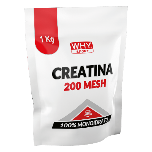 WHY SPORT Amminoacidi e creatina CREATINA 200 MESH creatina 200 g