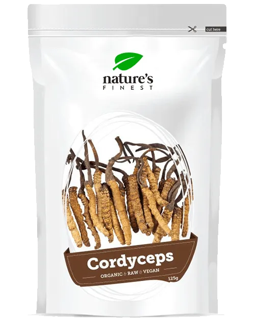 NEWTRITIONS Condizione Cordyceps in polvere Bio 125 g
